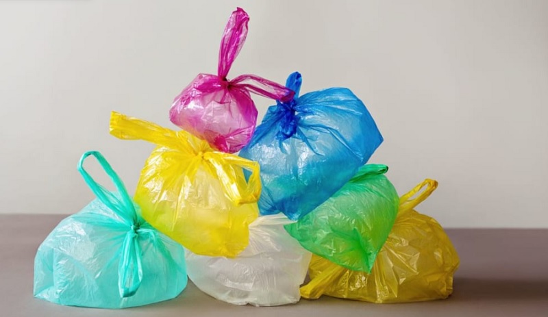 The Single-Use Supply Line: Examining the Environmental and Economic Trade-offs of Plastic Bags in Johannesburg